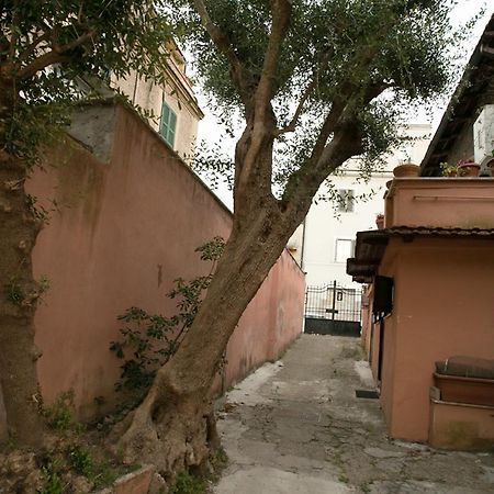روما Vaticanhouse الغرفة الصورة